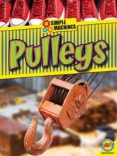 Cover image of Pulleys