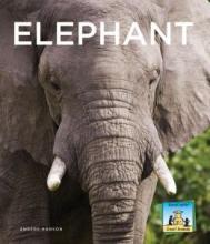 Cover image of Elephant