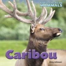 Cover image of Caribou