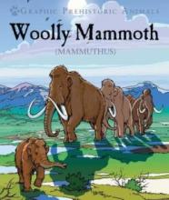 Cover image of Woolly mammoth