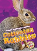 Cover image of Cottontail rabbits