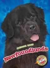 Cover image of Newfoundlands