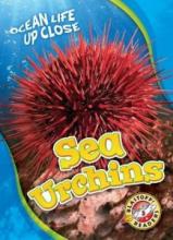 Cover image of Sea urchins