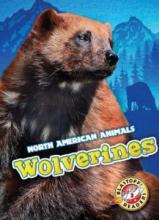 Cover image of Wolverines