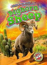 Cover image of Bighorn sheep