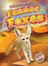 Cover image of Fennec foxes