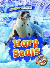 Cover image of Harp seals