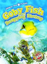 Cover image of Goby fish and snapping shrimp