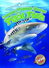 Cover image of Oceanic whitetip sharks and pilot fish