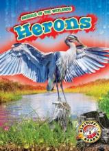 Cover image of Herons