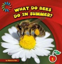 Cover image of What do bees do in summer?