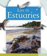 Cover image of Life in estuaries
