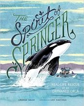 Cover image of The spirit of Springer