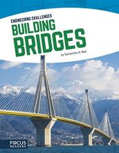 Cover image of Building bridges