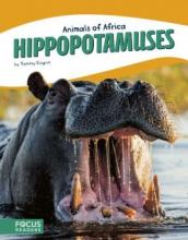 Cover image of Hippopotamuses