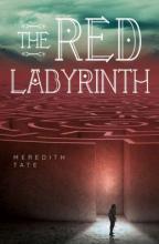 Cover image of The red labyrinth