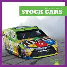 Cover image of Stock cars