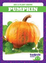 Cover image of Pumpkin