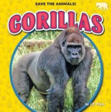 Cover image of Gorillas