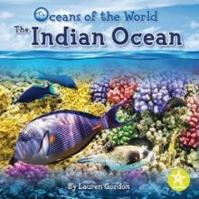 Cover image of The Indian Ocean