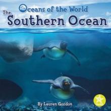 Cover image of The Southern Ocean