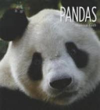 Cover image of Panda