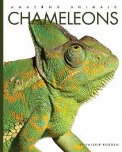 Cover image of Chameleons