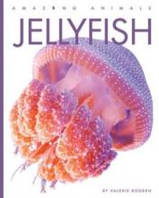 Cover image of Jellyfish