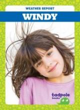 Cover image of Windy