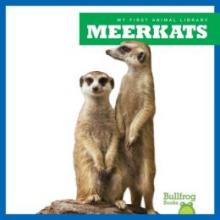 Cover image of Meerkats