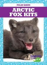 Cover image of Arctic fox kits