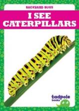 Cover image of I see caterpillars