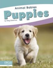 Cover image of Puppies