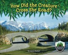 Cover image of How did the creature cross the road?