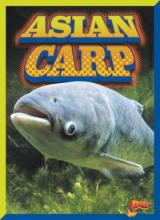 Cover image of Asian carp