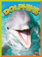 Cover image of Dolphins