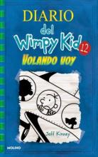 Cover image of Volando voy