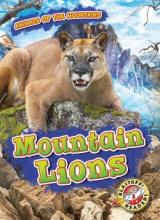 Cover image of Mountain lions