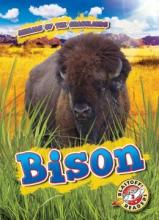 Cover image of Bison