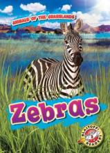 Cover image of Zebras