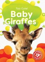 Cover image of Baby Giraffes