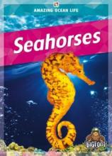 Cover image of Seahorses