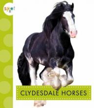 Cover image of Clydesdale horses