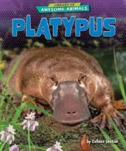 Cover image of Platypus