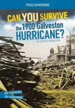 Cover image of Can you survive the 1900 Galveston hurricane?