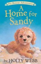 Cover image of A home for Sandy