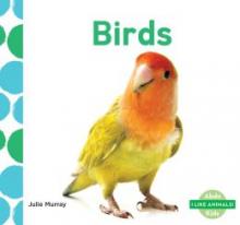 Cover image of Birds