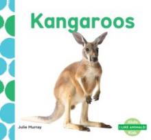 Cover image of Kangaroos