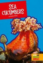 Cover image of Sea cucumbers