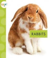 Cover image of Rabbits